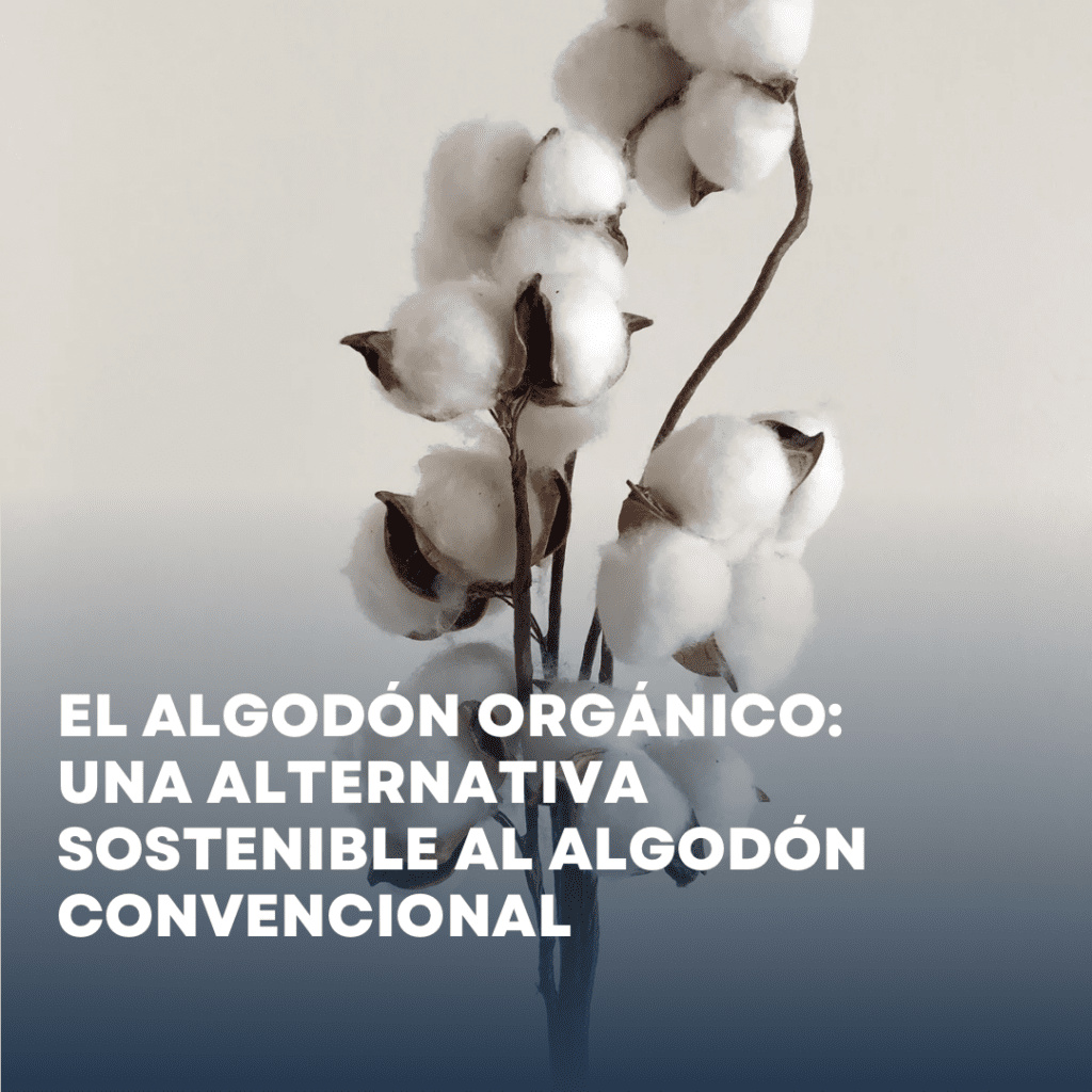 El algodón orgánico: una alternativa sostenible al algodón convencional​