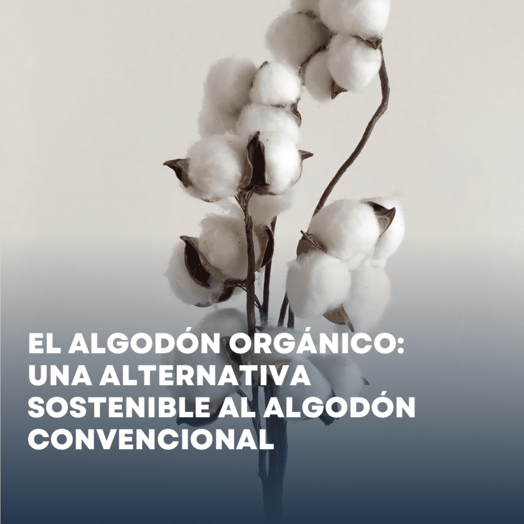 El algodón orgánico: una alternativa sostenible al algodón convencional